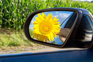 Sonnenblume im Autorückspiegel steht für umweltfreundliches fahren und Sprit sparen